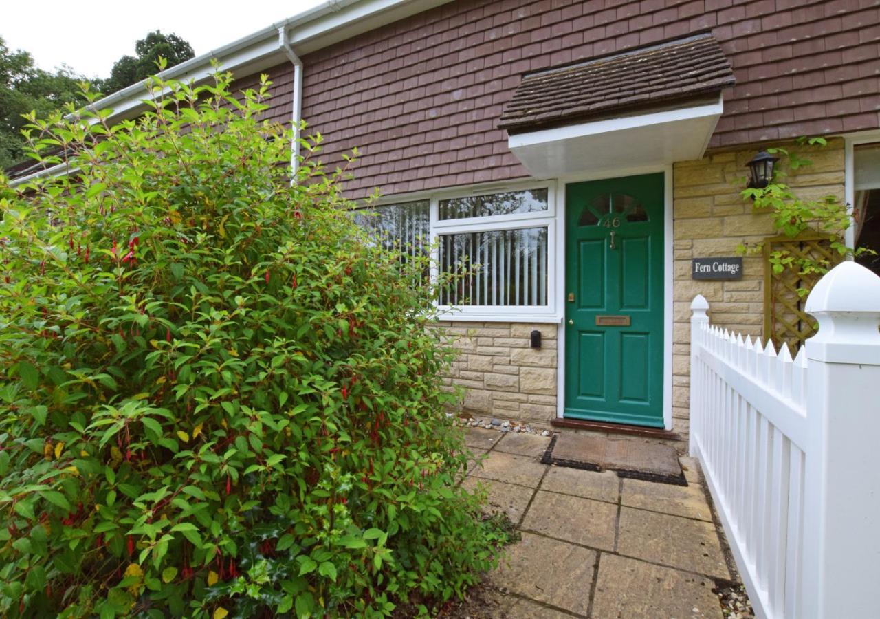 Fern Cottage Charmouth Buitenkant foto